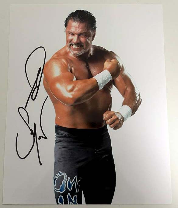 Al Snow ECW original autograph on 8x10 photo 