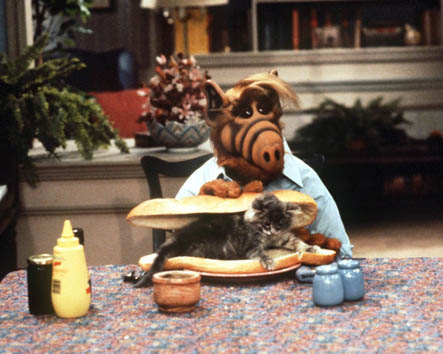 SYNCHRON Tommi Piper Motiv 08 - Autogrammservice GFCC 2025