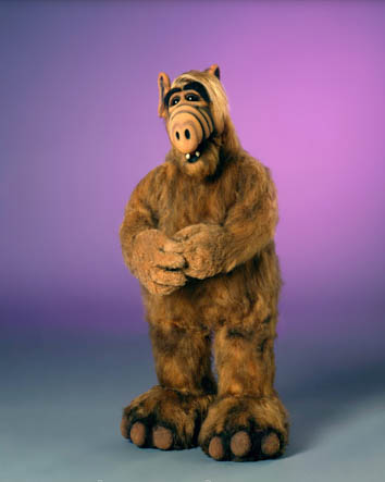 SYNCHRON Tommi Piper Motiv 05 - Autogrammservice GFCC 2025